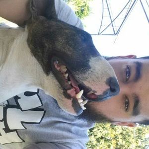 Meet your Posher, Dillon